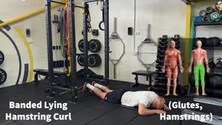 Banded Lying Hamstring Curl [upl. by Attenreb734]