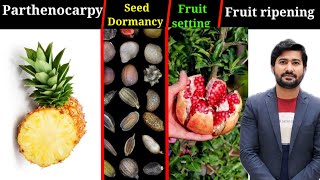 184 Parthenocarpy  Seed Dormancy  Fruit setting and ripening fsc Biology class 12 [upl. by Efar33]