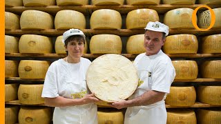 Le differenze tra Grana Padano e Parmigiano Reggiano [upl. by Maibach]