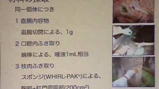 「牛の腸管出血性大腸菌保有状況ー食肉の安全確保を考える」／重茂 克彦／腸管出血性大腸菌の今 [upl. by Enohsal621]