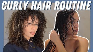 Curly Hair Routine for VOLUME 3b3c  Curly Hair Routine 2021 [upl. by Naesad]