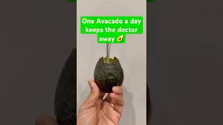 Best Health Benefits of Avocado Keeps the Doctor away 🥑💪 [upl. by Grieve]