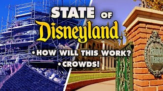 Positive VIBES at Disneyland  State of Disneyland Report 20231215 [upl. by Koralle520]