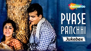 All Songs of Pyase Panchhi 1961  HD Jukebox  Ameeta  David  Jeevan  Mehmood  Sadabhar Songs [upl. by Leba]