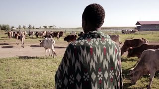 ALL IN How Verde Beef created 400 skilled jobs in Ethiopia Faith amp Co [upl. by Hudnut429]