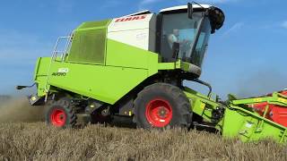 ŻNIWA 2018  Jęczmień jary  Claas Avero 160  MF 6290 [upl. by Naud]