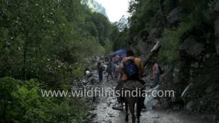 Manimahesh pilgrims en route the holy shrine  Himachal Pradesh [upl. by Laefar]