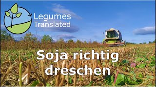 Soja richtig dreschen [upl. by Nodle]