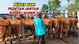 PUSAT PEDETAN SUPER HARGA MURAH‼️ PASAR PLAOSAN MAGETAN [upl. by Esac599]