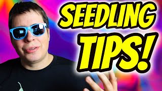 SEEDLING TIPS FOR BEGINNERS [upl. by Mclyman]