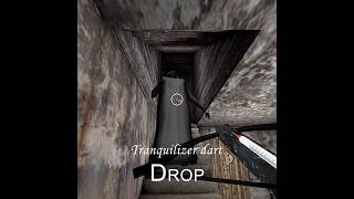 Unlimited Tranquifizer dart Vs Granny Door escapegranny [upl. by Claribel]