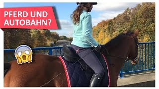 Mit dem Pferd über die Autobahn [upl. by Aikahc]