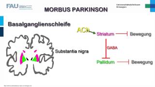 Neuropathologie ─ Entstehung von Morbus Parkinson [upl. by Hsara]