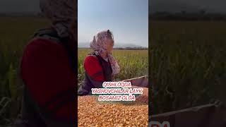 Qishloqliklar bormi Qani nechta ekanmiz layk bosamiz [upl. by Maghutte]