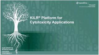 DiscoverX Cytotoxicity CellBased Assays [upl. by Mercedes727]