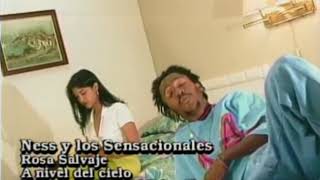 11 Ness Y Los Sensacionales  Rosa Salvaje Official Video [upl. by Haral7]