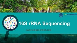 16s rRNA sequencing MicrobiologyBioinformaticsSequencingMolecular Biology [upl. by Humfrey]