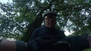 Pleasanton Ridge MTB ride downhill fun [upl. by Ydieh423]