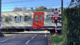 Spoorwegovergang KalmthoutBelgium Railroad crossing 🇧🇪 [upl. by Notlrak301]