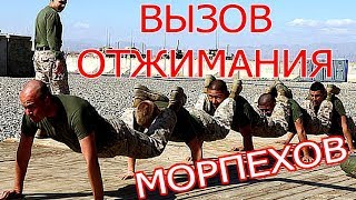 ВЫЗОВ СУПЕР ОТЖИМАНИЯ МОРСКИХ КОТИКОВ НЕВОЗМОЖНЫЕ ОТЖИМАНИЯ НА КАЖДЫЙ ДЕНЬ [upl. by Germano594]