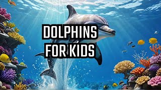 Dolphins The Smartest Animals In The Ocean [upl. by Narbig82]