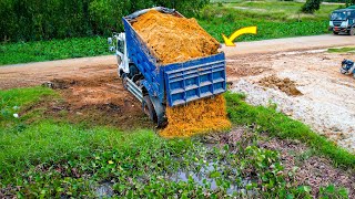 Start a New Project Landfill on Flooded Pond Bulldozer KOMATSU amp 5Ton Dump Truck Pushing Soil [upl. by Esilenna962]