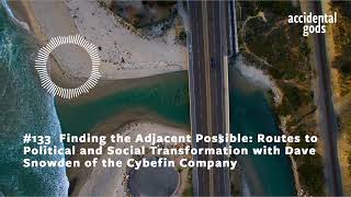 133 Finding the adjacent possible routes to political and social transformation with Dave Snowden [upl. by Sinnal]