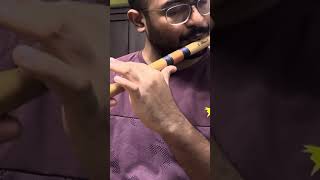 Mandram Vantha  Flute Cover  Ilayaraja [upl. by Bodkin751]