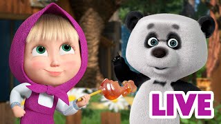 ماشا والدب 👱‍♀️ LIVE STREAM 🙅‍♀️😲 لم أكن أنا 🙅‍♀️😲 Masha and the Bear [upl. by Atnohsal983]