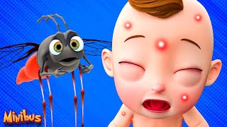 Buzz Buzz Mosquito Song  More Nursery Rhymes amp Kids Songs  Minibus [upl. by Ainatit757]