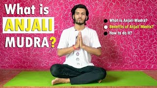 Anjali Mudra  Relieves Stress and Tension  Yog Asana anjalimudra [upl. by Pelag847]