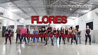 Flores  Rogerinho  Coreografia G da dança [upl. by Eisac748]