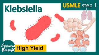 Klebsiella  klebsiella pneumoniae  clinical presentation risk factors and treatment of Klebsiella [upl. by Ahsait369]