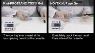 Casting Gradient Gels for the PROTEAN® II XL Cell [upl. by Ettennig847]