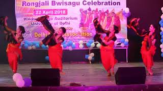 Fwido Hai  Performance by SIKHRI SIKHLA GROUP  Delhi Bwisagu Celebration 2018 [upl. by Sucirdor]