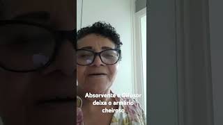 Absorvente e Difusor deixa o armário cheiroso ivonemariadasilva6411 humor short  viral [upl. by Agnot]