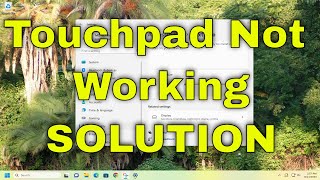 How to Fix Laptop Touchpad Not Working Problem on Windows 11 Solution [upl. by Veno237]