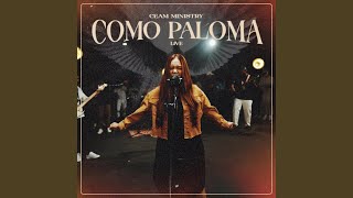 Como Paloma Live [upl. by Dnomyaw38]