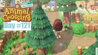 New Pathways  Animal Crossing New Horizons Part 121 [upl. by Myrta]