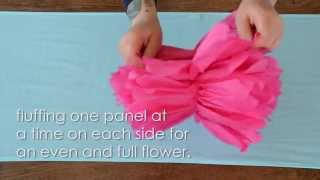 How To Assemble Tissue Paper Flower Pom Poms [upl. by Cedell536]