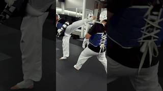 Taekwondo sparring class highlights shorts [upl. by Cilo]