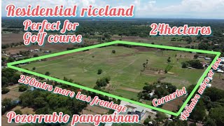 lot234 Residential ricelandfarmlot 24 hectares corner lot 300mtrs and 500mtrs more or less frontge [upl. by Rutherford598]