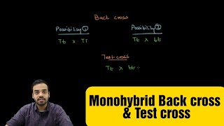 Monohybrid Back cross and Test cross [upl. by Leatri]