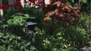 Patio Designs  Tips for Backyard Landscaping [upl. by Eeryn]