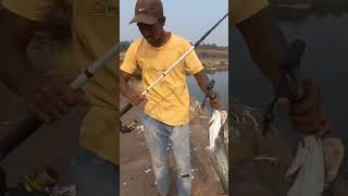 Wallago fishing Big size catch on spoon  fishing  short  like subscribe [upl. by Natanhoj434]