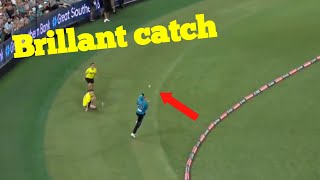 Brillant catch by Michael Neser Brisbane heat vs Sydney sixers [upl. by Corvin236]