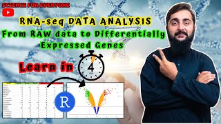 How to find DEGs from RNAseq Gene Expression Data in 4 minutes using Rstudio [upl. by Ianahs]