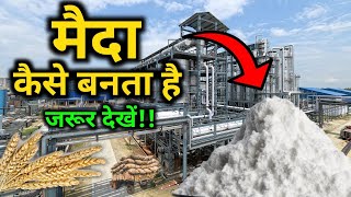 फैक्ट्री में मैदा कैसे बनता हैं  How maida is made   by VitalGyan [upl. by Nyleaj]