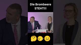 Brombeer Koalition in Thüringen politik news thüringen afd short [upl. by Kamilah]