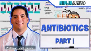 Antibiotics Cell Wall Synthesis Inhibitors Part 1 [upl. by Milli756]